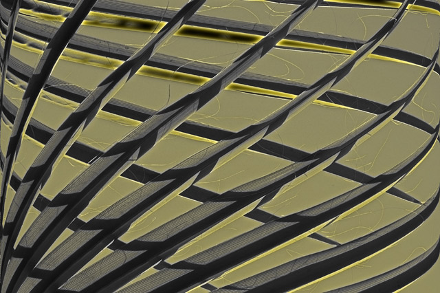 Abstract-III.jpg