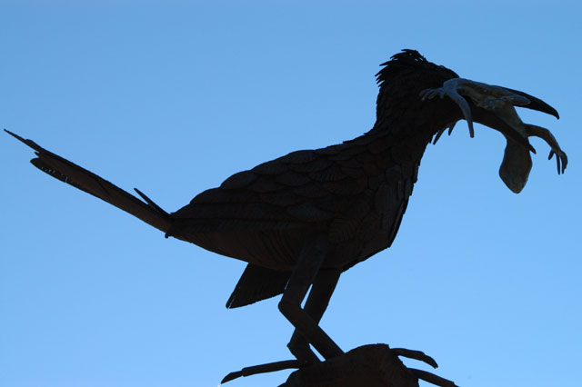 Roadrunner