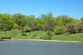 Japanese Garden