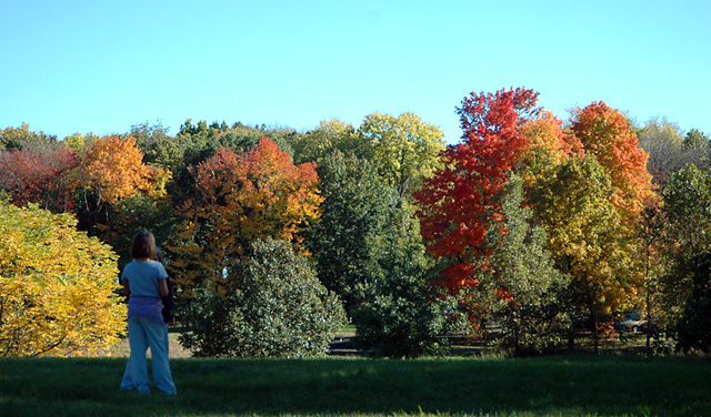 Enjoying Fall Colors
