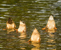 ' . substr('//images.dpchallenge.com/images_portfolio/10000-14999/12998/120/821276.jpg', strrpos('//images.dpchallenge.com/images_portfolio/10000-14999/12998/120/821276.jpg', '/') + 1) . '