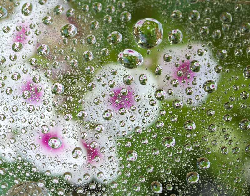 WATER DROP BOUQUET.jpg