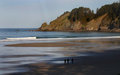 Short Sands