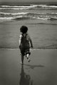IMG_1920edit5x7sepia.jpg