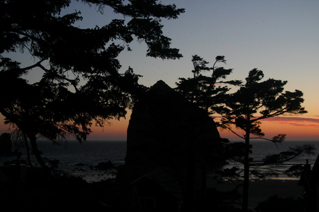 IMG_2539editing.jpg