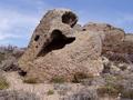 Bear Cave