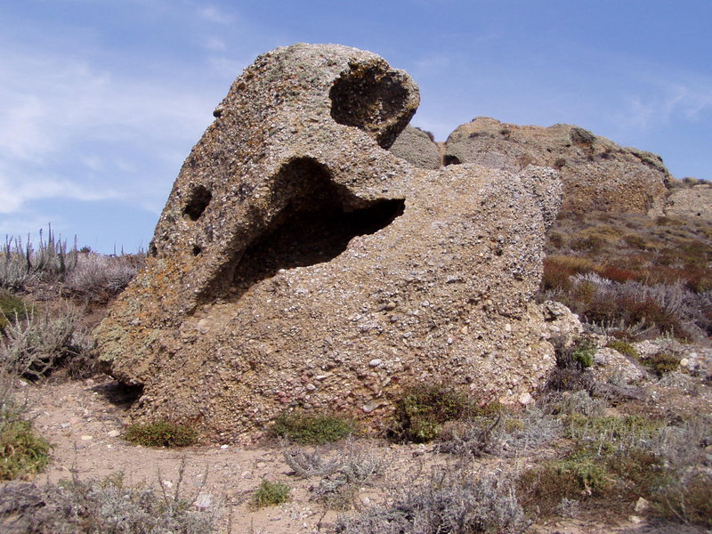 Bear Cave