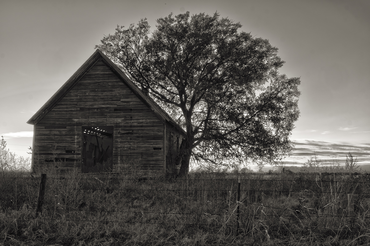 oldhouse_bw