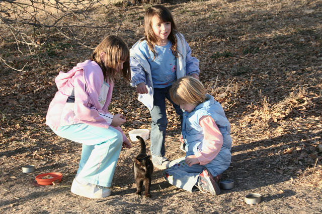 Kids and Cat