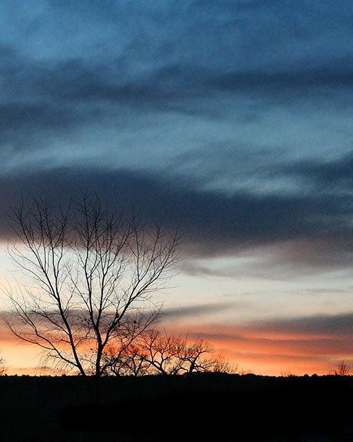 Sunset (with tree)