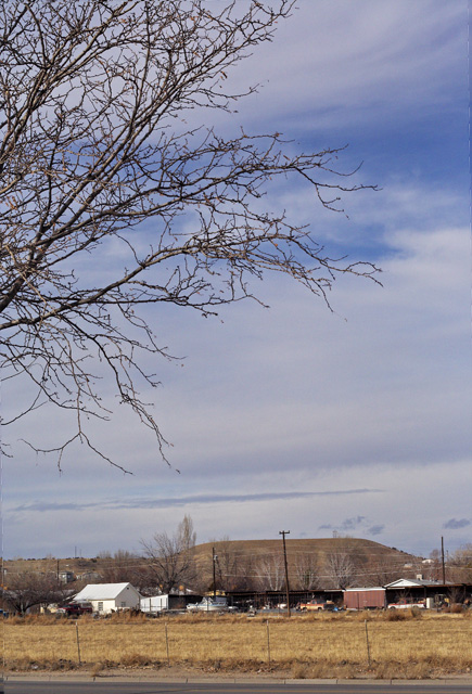 Tree