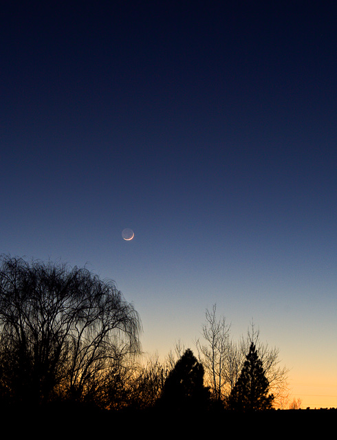 Moon