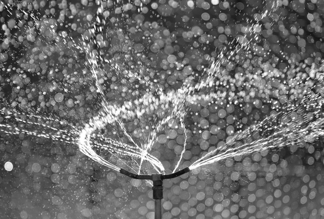 Water