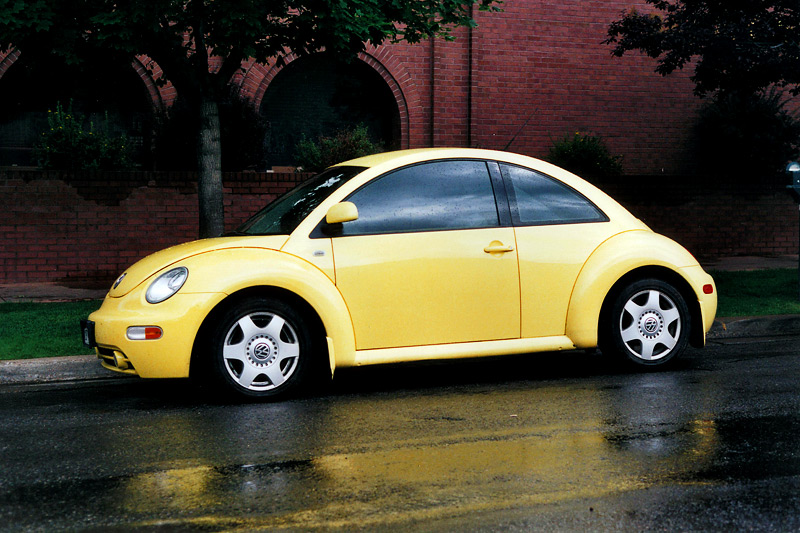 Bug
