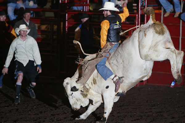 rodeo1.jpg