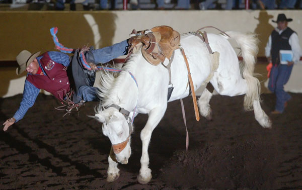 rodeo2.jpg