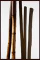 Bamboo