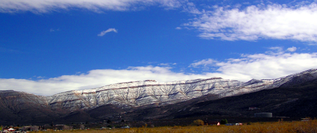 P2290005_small.jpg