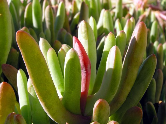 P2290023_small.jpg