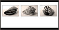 ' . substr('//images.dpchallenge.com/images_portfolio/10000-14999/13207/120/597597.jpg', strrpos('//images.dpchallenge.com/images_portfolio/10000-14999/13207/120/597597.jpg', '/') + 1) . '