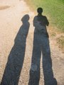 Shadows.JPG