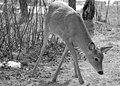 B&W---Week-5.jpg