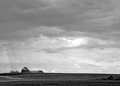 B&W-Week-15.jpg