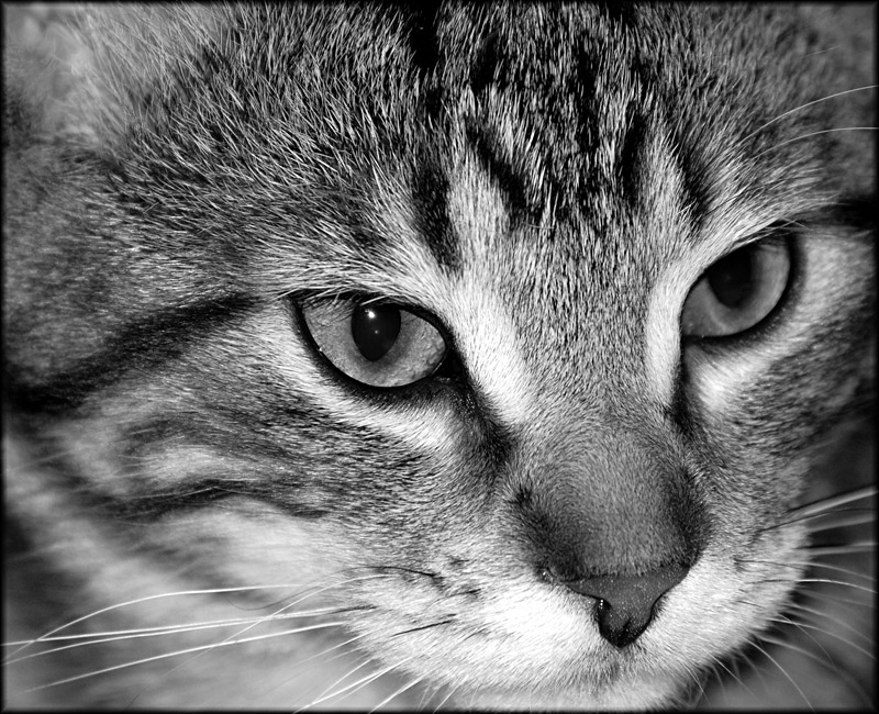 B&W---Week2.jpg