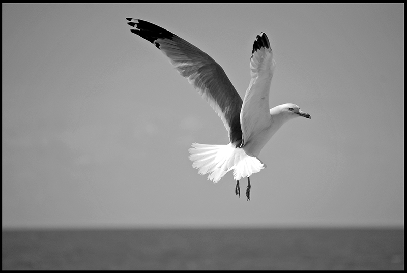 B&W-Week-27.jpg