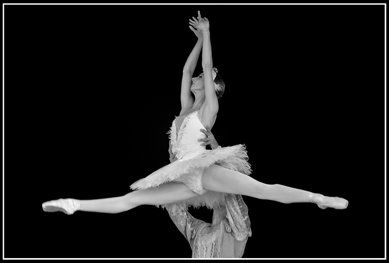 B&W-Week-29.jpg