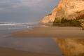 Misty Lonely Beach