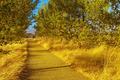 Golden Path