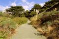 Narrow Path