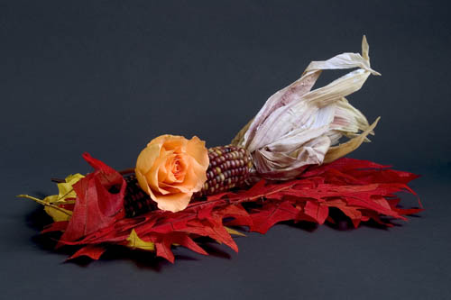 Fall Still-life