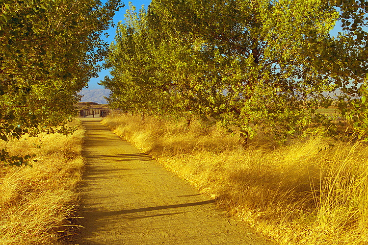 Golden Path