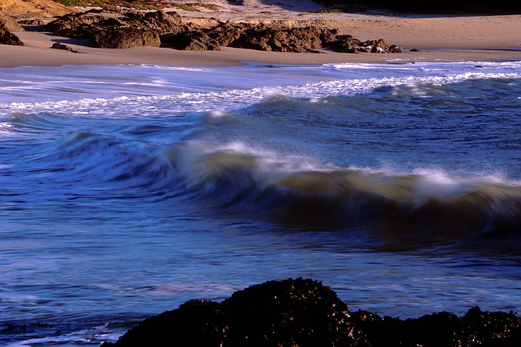 Wave at Bean Hollow Beach