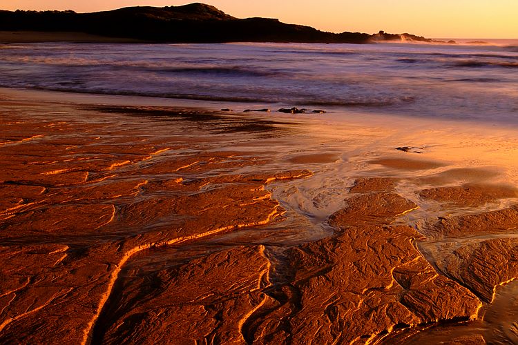 Patterns in the sand