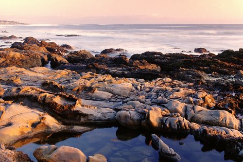 Tidepool