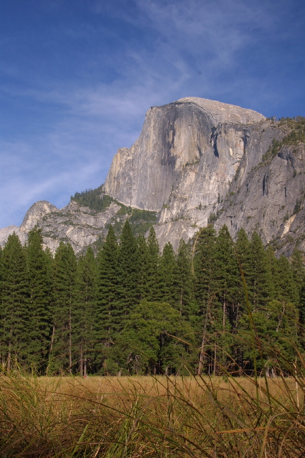 HalfDome Grass.jpg