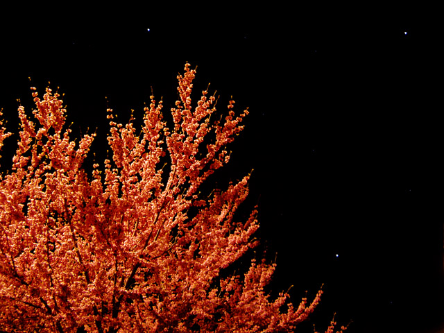 April Night