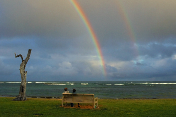 Rainbow Witnesses
