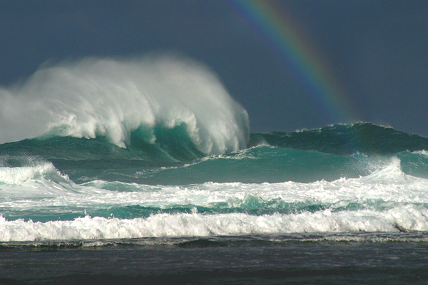 Rainbow Surf