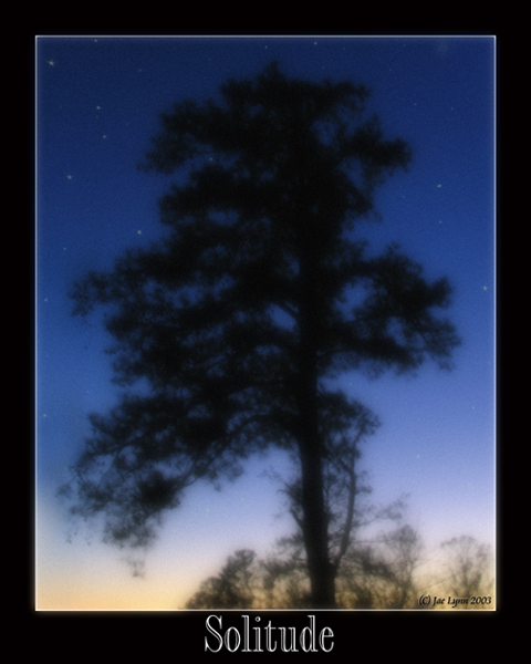 Solitude