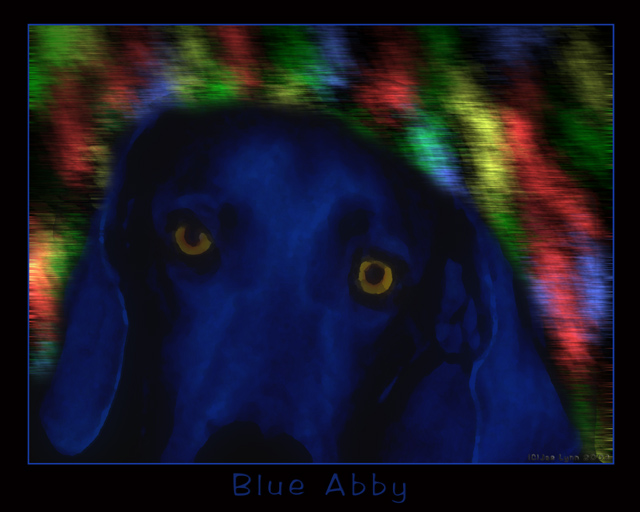 Blue Abby