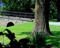 bridge