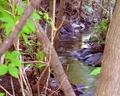 little-creek
