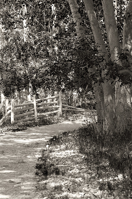 Road to peace