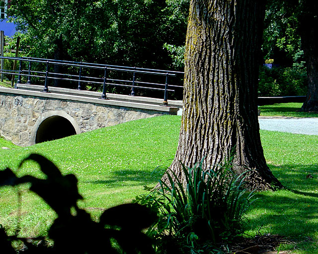 bridge