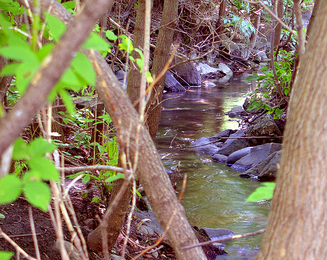 little-creek