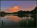 Bow Bridge on The Lake